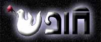 Hofesh