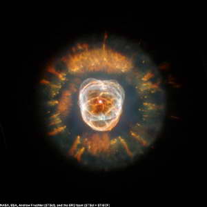 "אסקימו נבולה"